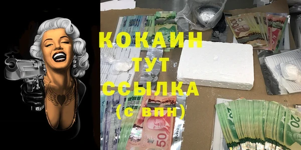шишки Балабаново