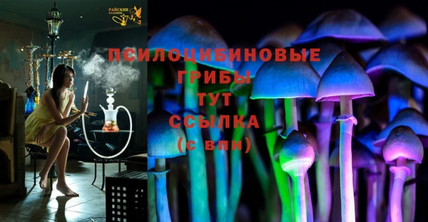 хмурый Балахна