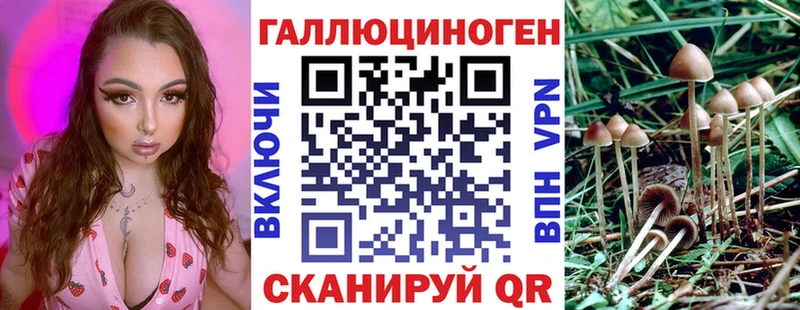 Купить где  Нязепетровск  Галлюциногенные грибы Psilocybe 